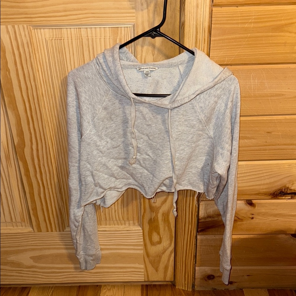American Eagle Outfitters Light Gray Hoodie